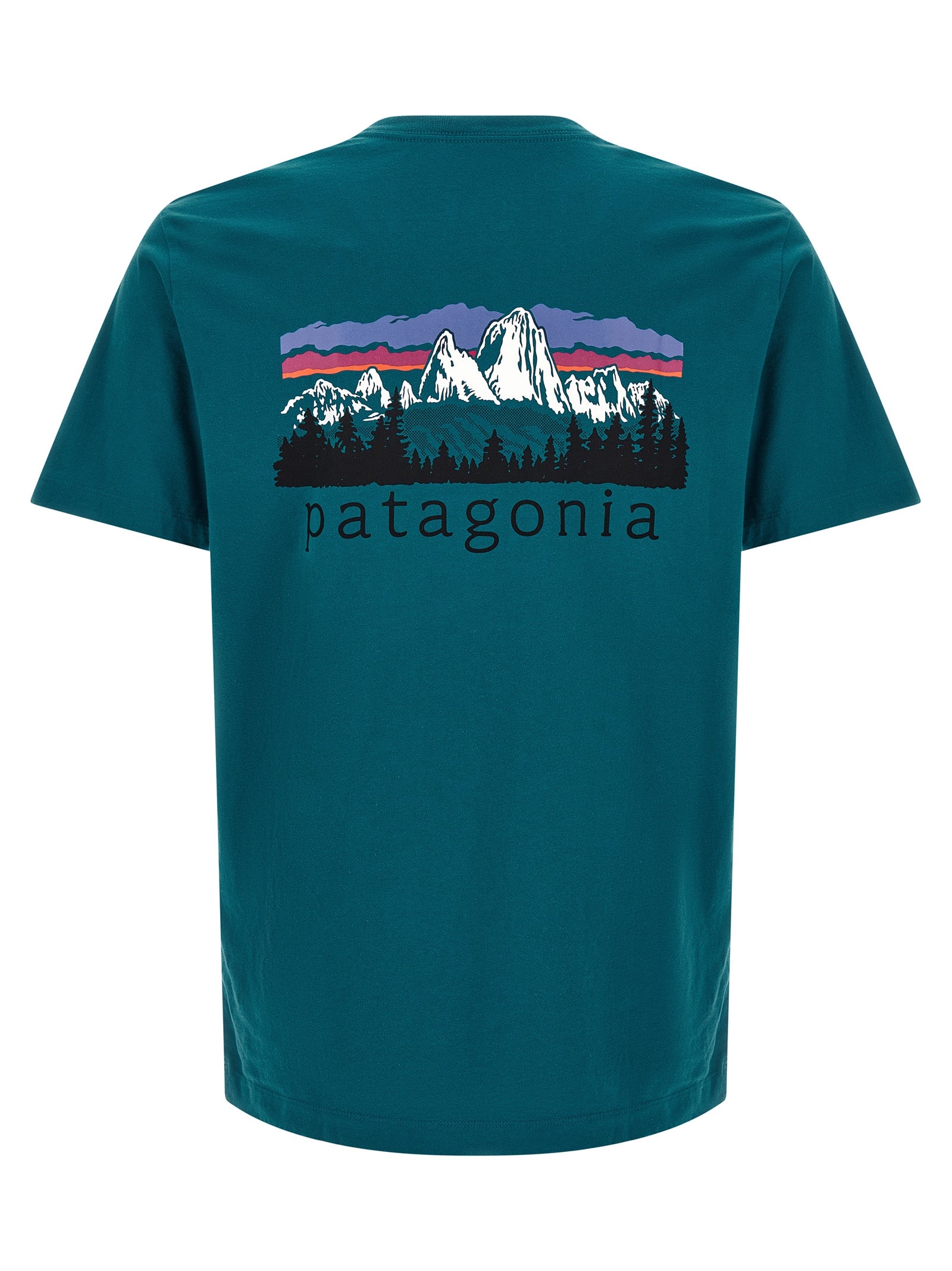 PATAGONIA Bicolor Cotton T-Shirt