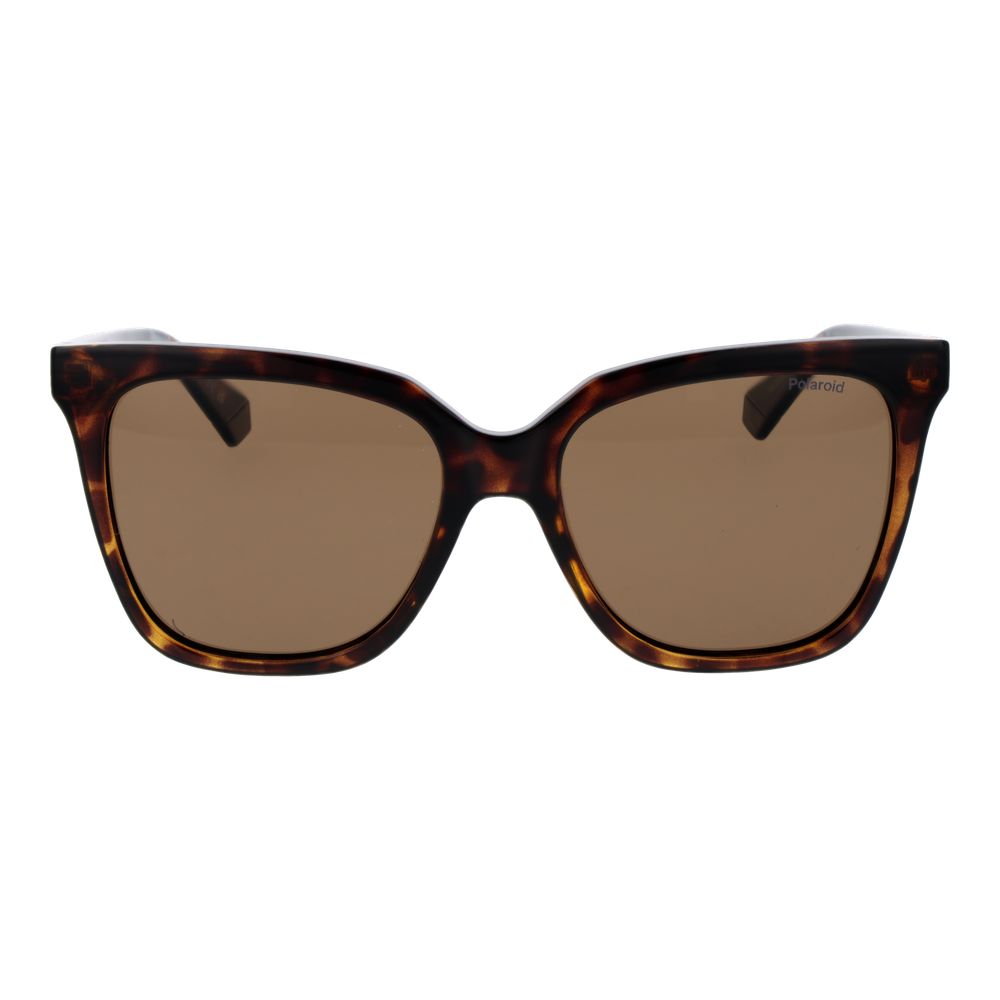 Polaroid Brown Polycarbonate Sunglasses